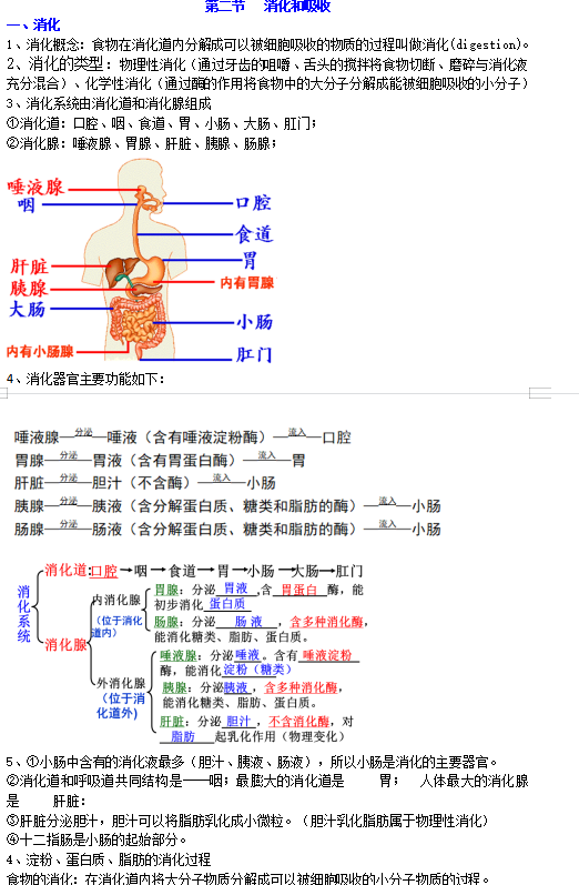 人教版七年级下册生物全册知识点（完整版）