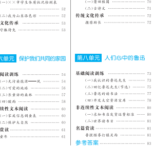 六年级上册同步阅读专项训练书籍