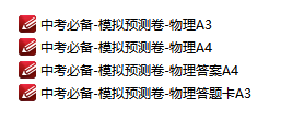 中考必备模拟预测卷-物理