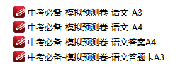 中考必备模拟预测卷-语文