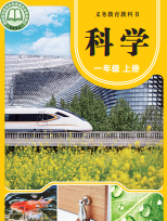 2026最新青岛版一年级科学上下册电子课本下载