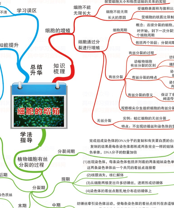 高中生物“一图通关”！45张高清思维导图，搞定细胞、遗传与稳态！